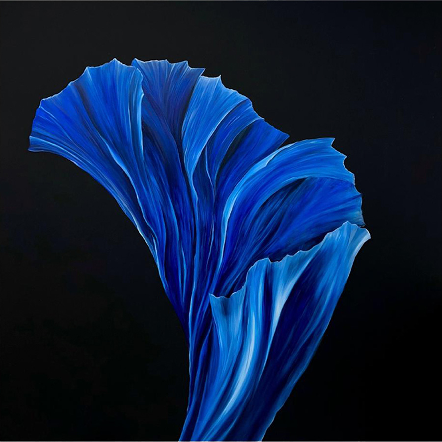 Monocromatic Blue I